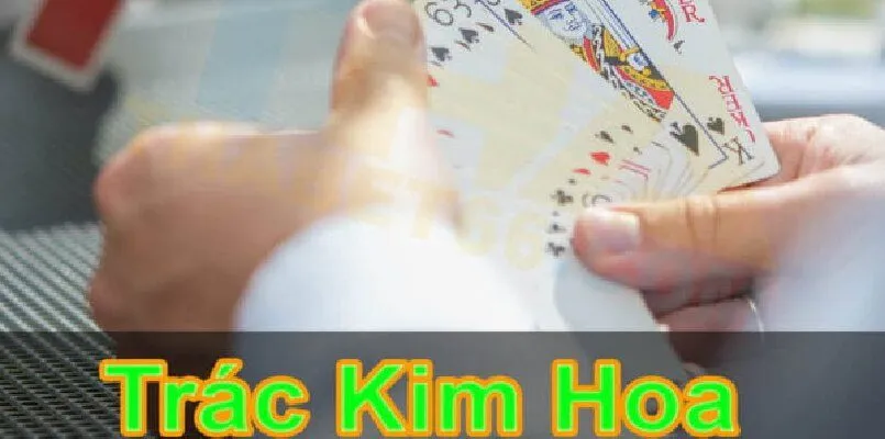 Trác Kim Hoa là gì? Hướng dẫn chơi cơ bản và chi tiết 2 Tìm hiểu Trác Kim Hoa là gì để làm chủ cuộc chơi